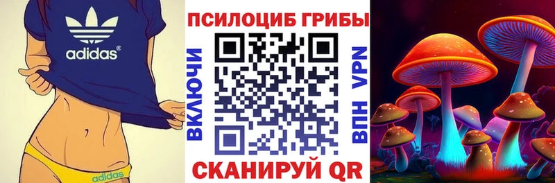 Купить где  Сольвычегодск  Галлюциногенные грибы Magic Shrooms 