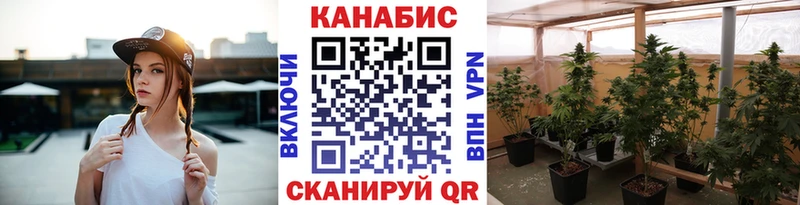 Шишки марихуана OG Kush  Купить  Сольвычегодск 